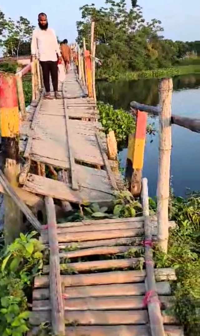 নবীনগরে একমাত্র ভরসার কাঠের পুল ভেঙে যাতায়াতে দূর্ভোগ।