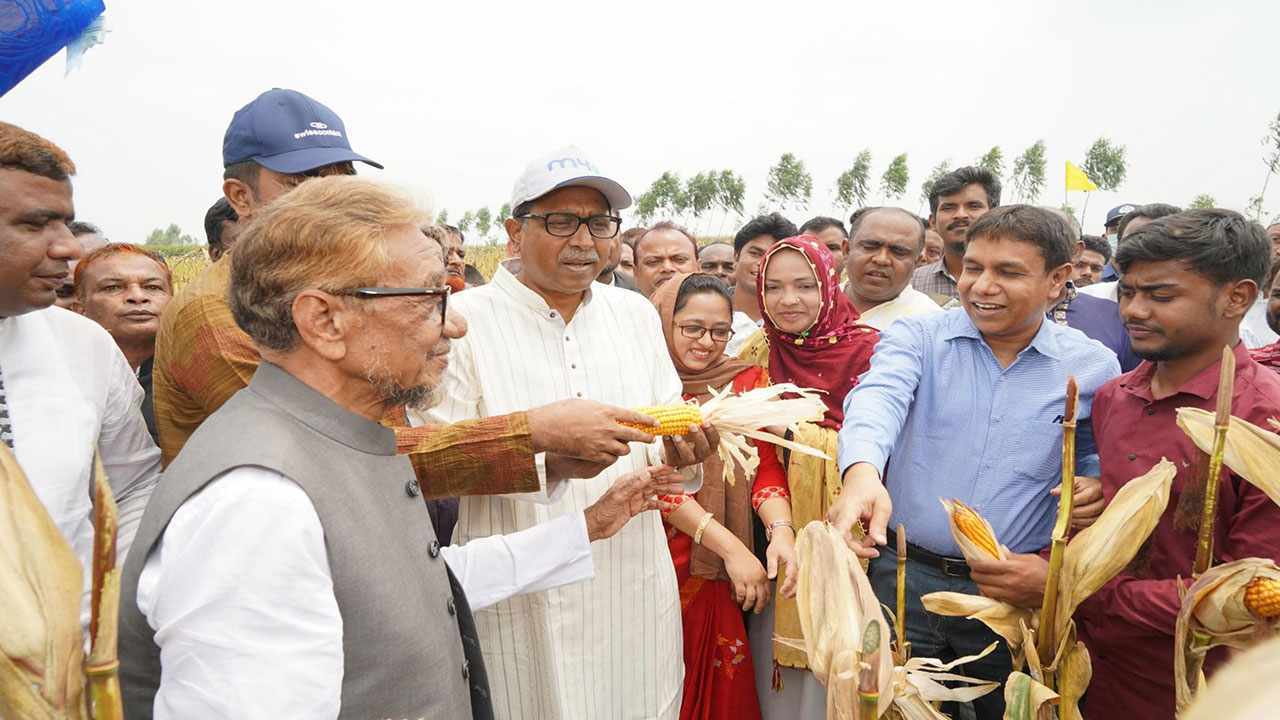 তামাক চাষ পরিহার করে গম ও ভুট্টা চাষ করতে হবে।-পল্লীউন্নয়ন ও সমবায় প্রতিমন্ত্রী 