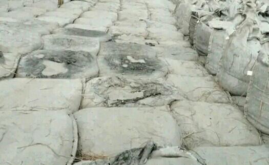 পদ্না নদী তীর রক্ষা করতে জিও ব্যাগ ব্যাবহারে অনিয়ম 